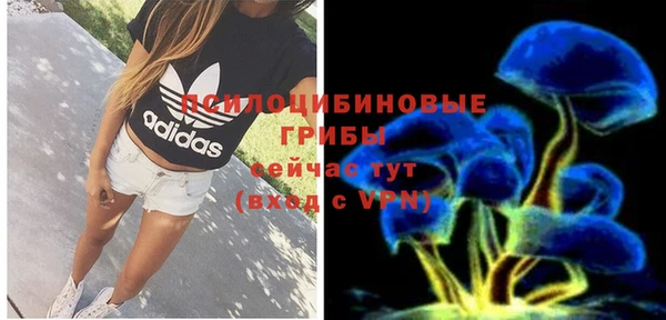 2c-b Белоозёрский