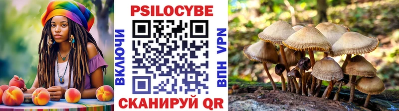 что такое   Володарск  Псилоцибиновые грибы Magic Shrooms 
